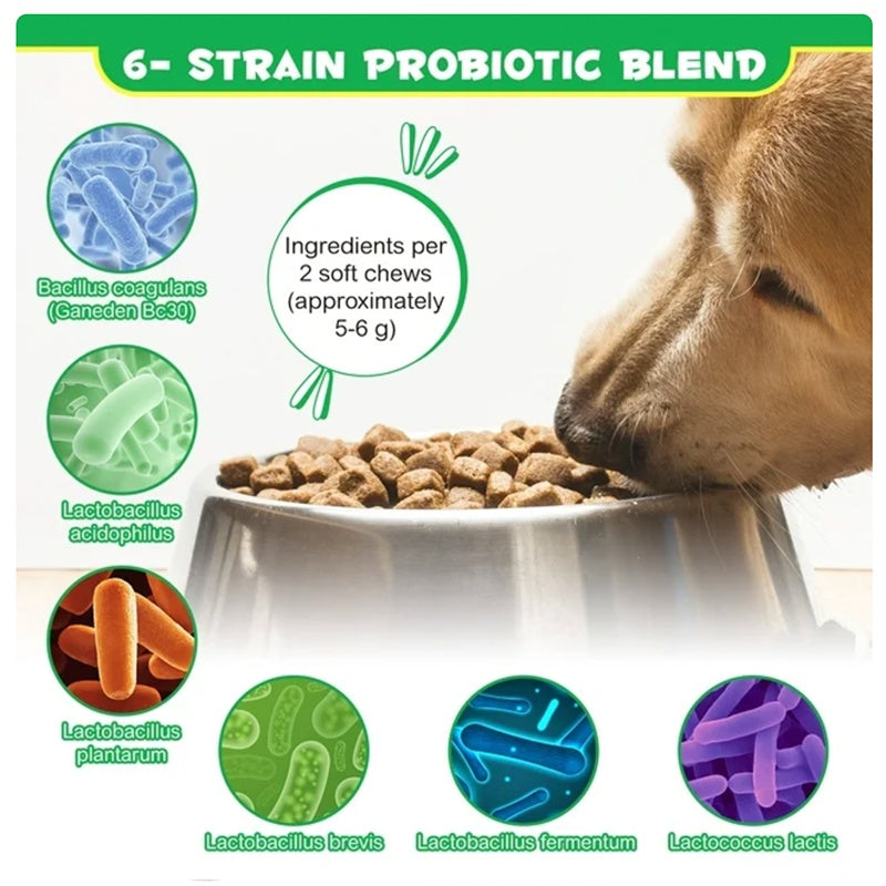 Probiotic Chews for Canine Digestive Health