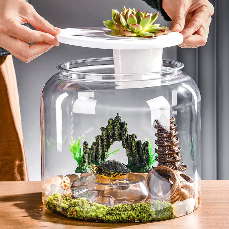 Desktop Landscaping Fish Tank, Large