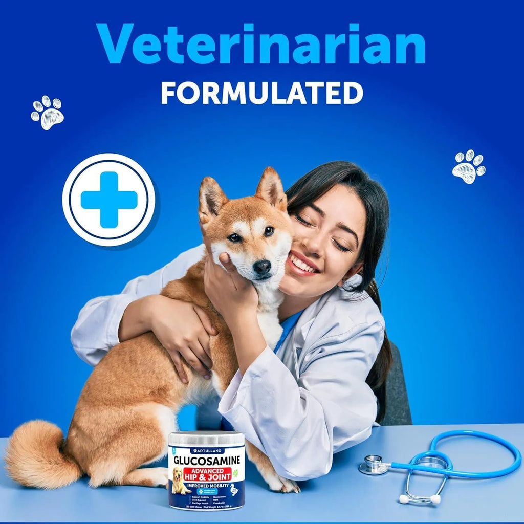 Canine Hip and Joint Support Chews, 120 Count