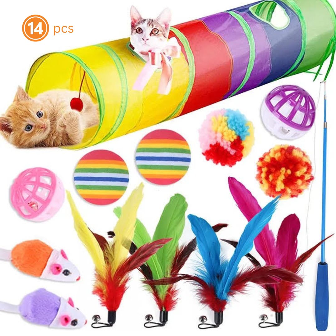 Assorted Cat Toy Collection, 14 Pieces