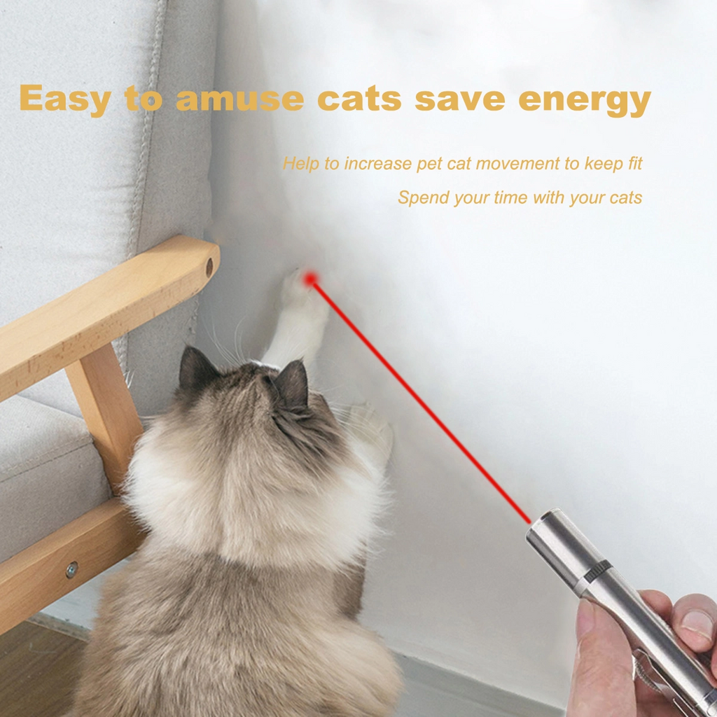 Interactive Pet Chase Exerciser with 7 Modes