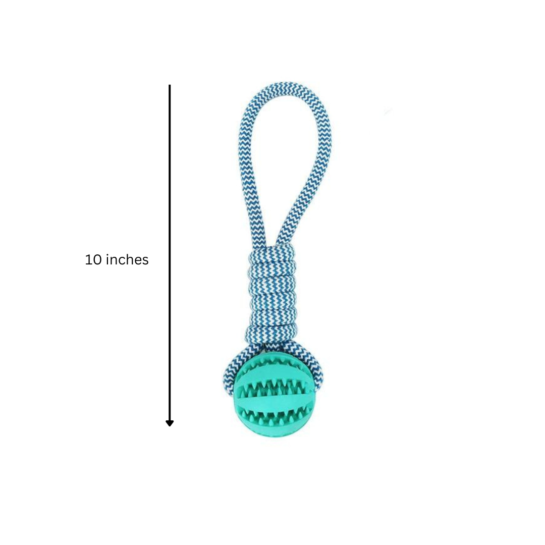 3-Pack Squeaky Toothbrush and Cotton Rope Ball Toys