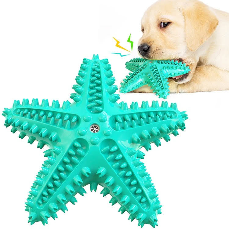 3-Pack Squeaky Toothbrush and Cotton Rope Ball Toys
