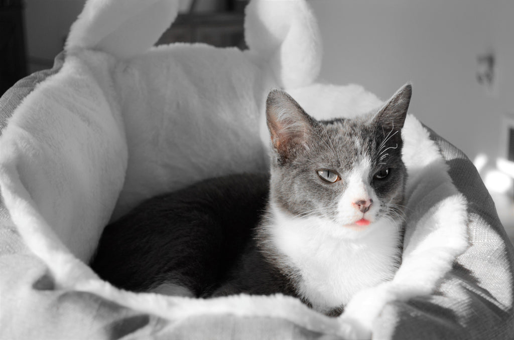 Refined Pet Sleeping Bag, Small Grey