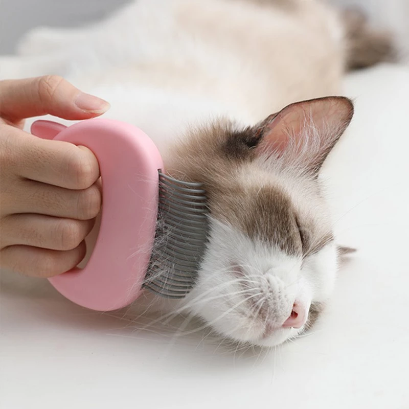 Cat Grooming Massage Brush in Blue, Pink, or Green