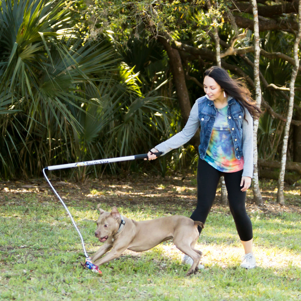 Dog Exercise & Training Lure Pole V2