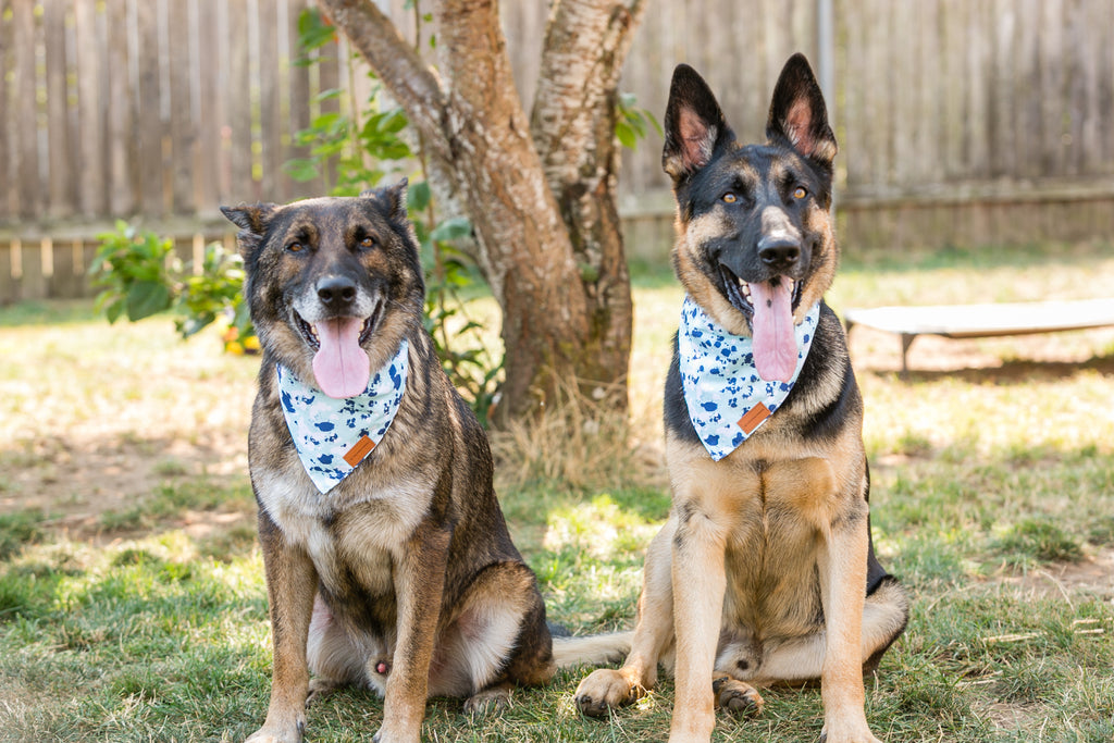 Adjustable Pet Bandana Accessory