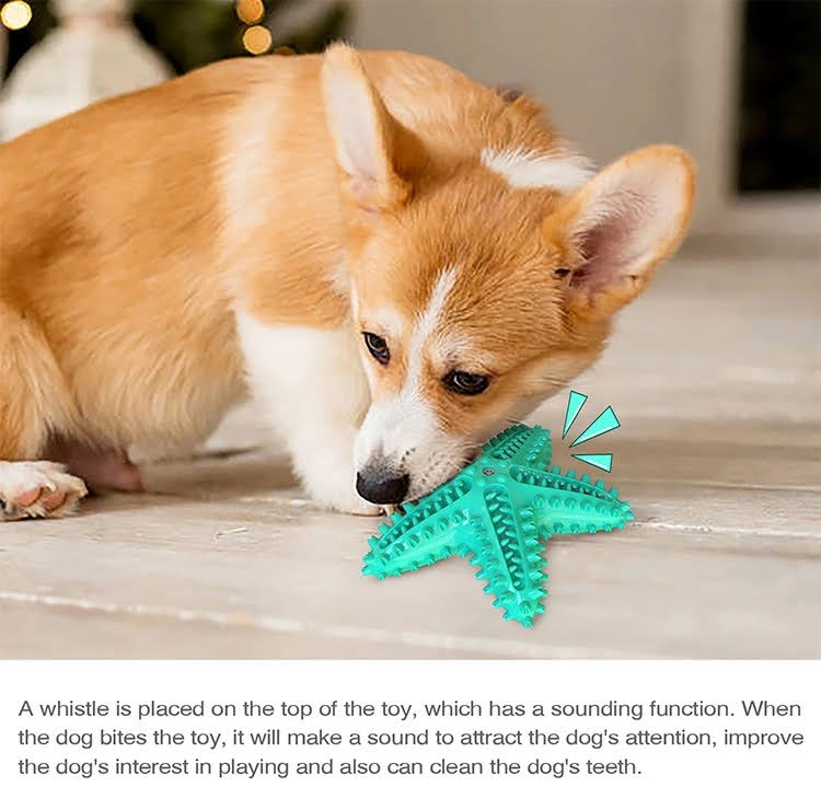 3-Pack Squeaky Toothbrush and Cotton Rope Ball Toys