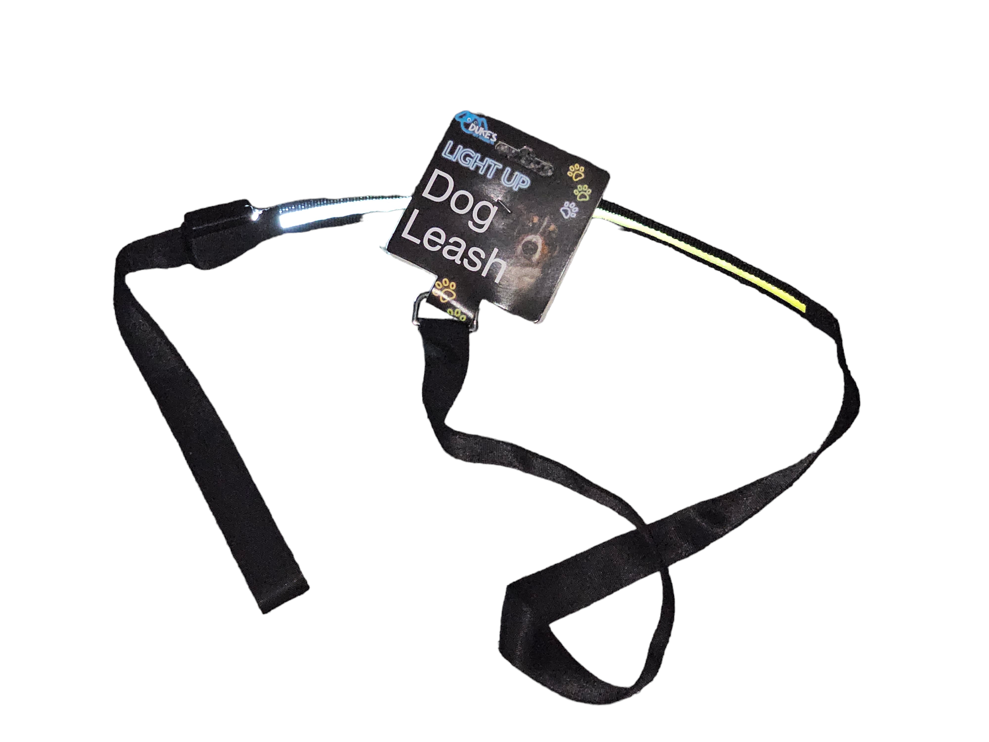 Illuminated Pet Leash for Evening Walks