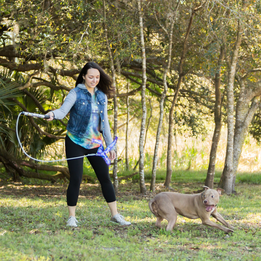 Dog Exercise & Training Lure Pole V2