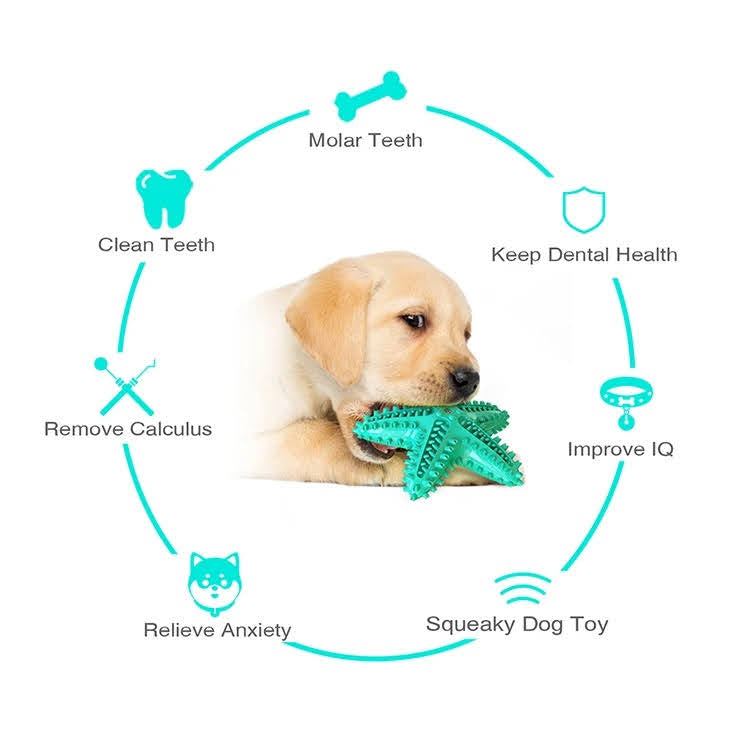 3-Pack Squeaky Toothbrush and Cotton Rope Ball Toys