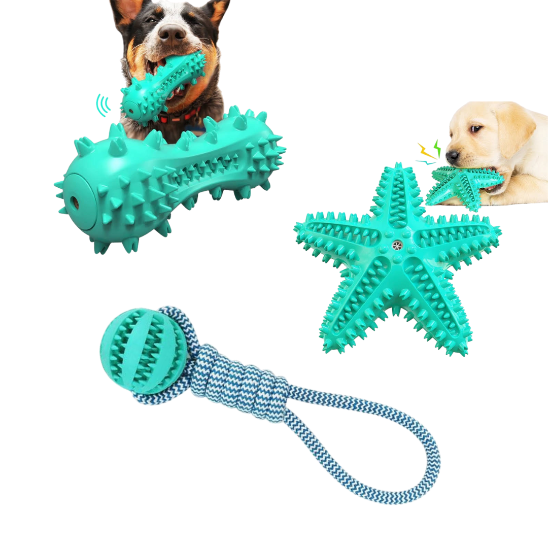 3-Pack Squeaky Toothbrush and Cotton Rope Ball Toys