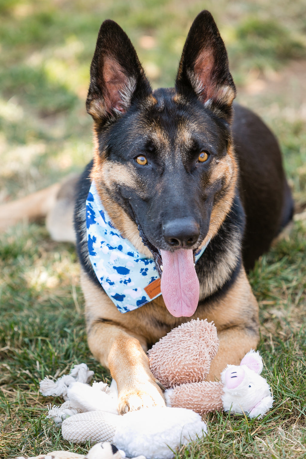 6-Pack Plush Dog Toy Set