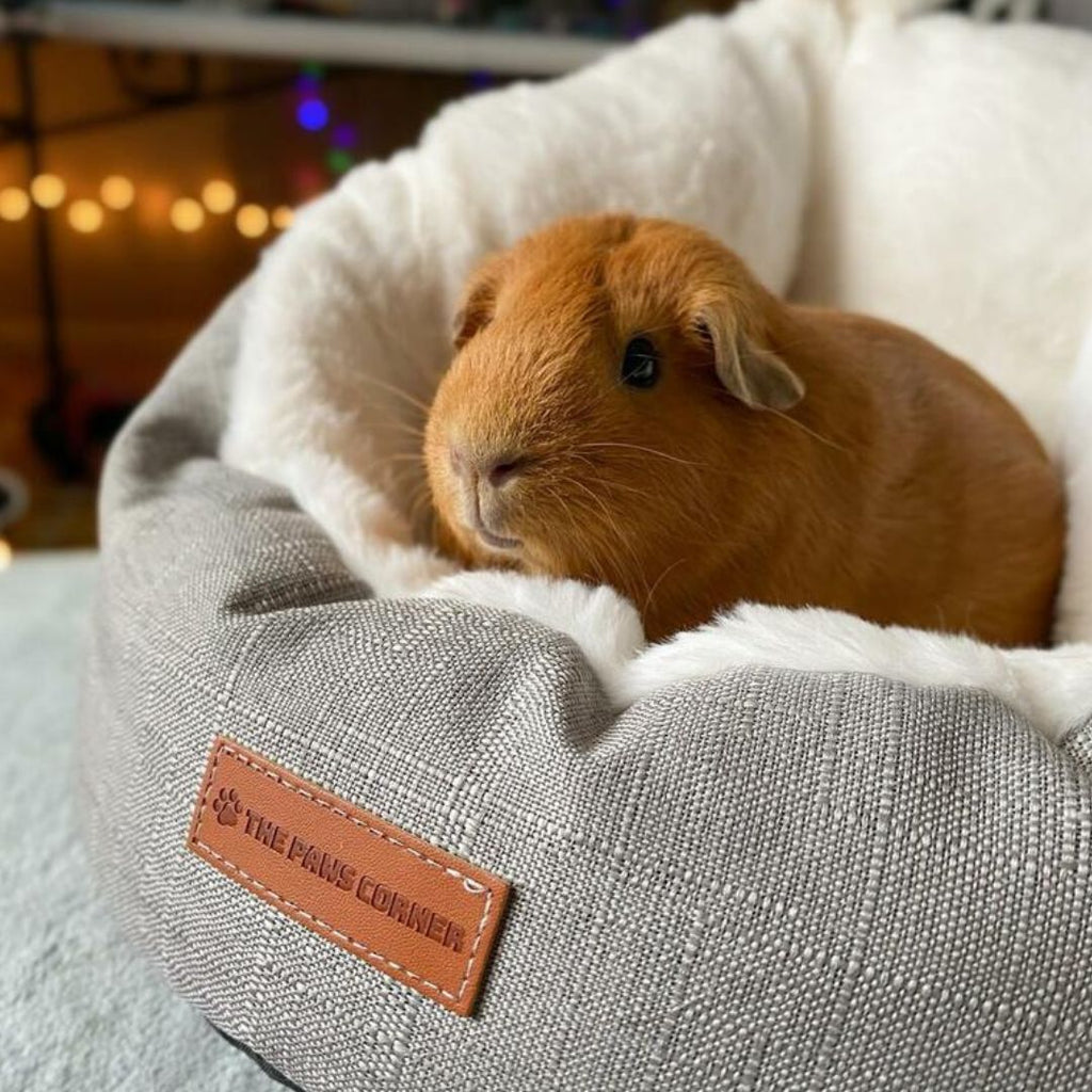 Refined Pet Sleeping Bag, Small Grey