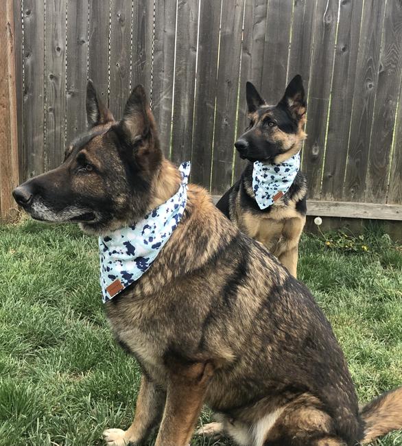 Adjustable Pet Bandana Accessory