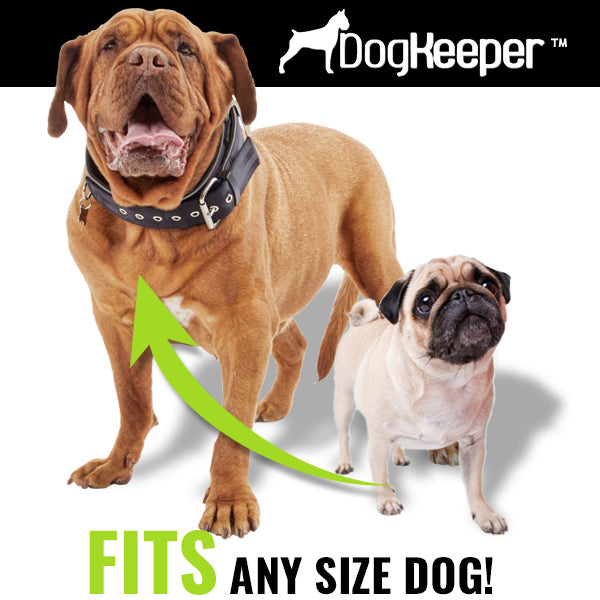 Outdoor Pet Anchor with 360° Swivel