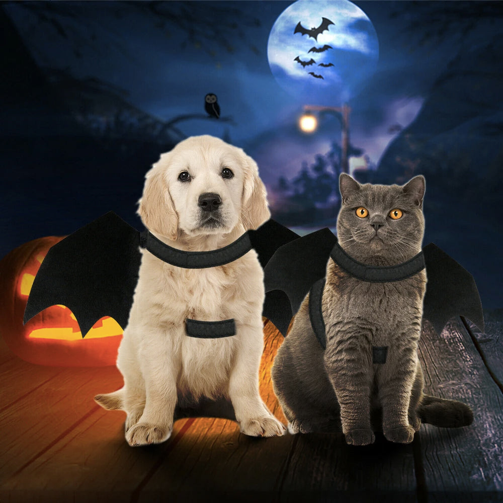Bat Wings Costume for Cats and Dogs
