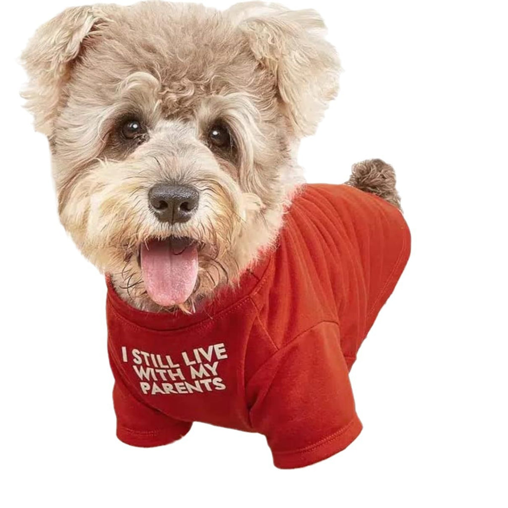 Pet Round Neck T-Shirt in Red, Blue, Black, Khaki