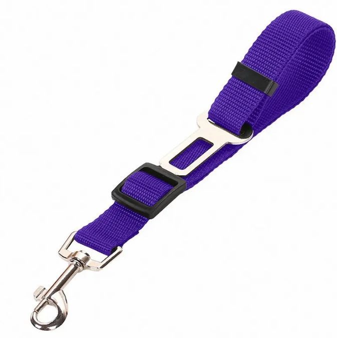 Adjustable Vehicle Safety Leash
