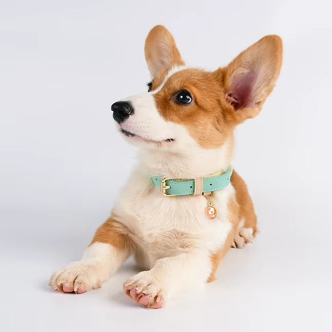 Genuine Leather Dog Collar, S-M-L