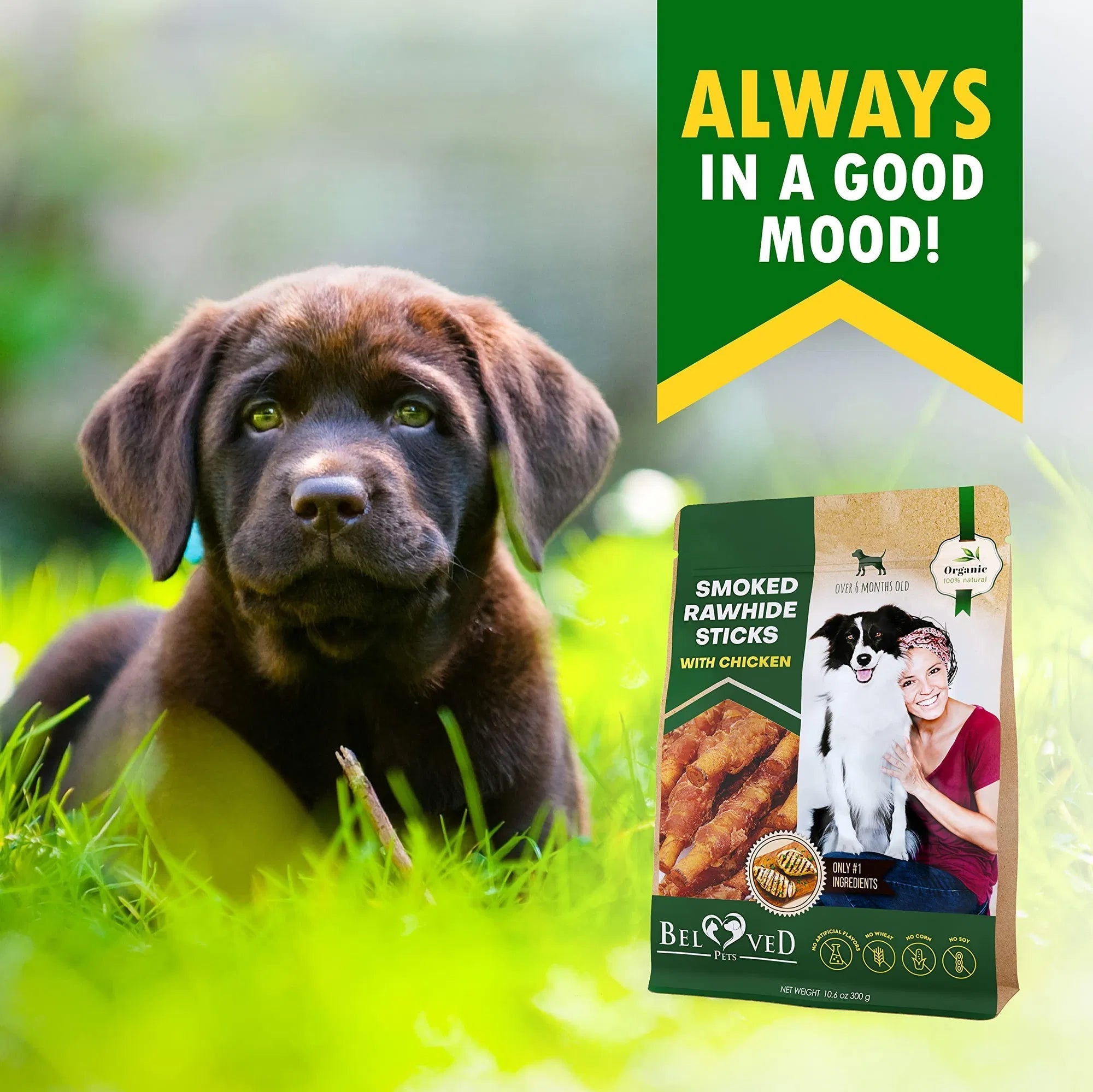 Natural Chicken-Wrapped Rawhide Chews