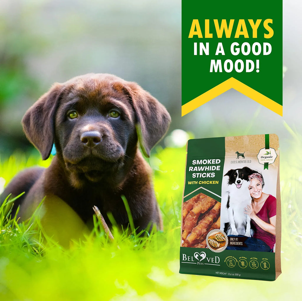 Chicken Wrapped Rawhide Sticks for Dogs