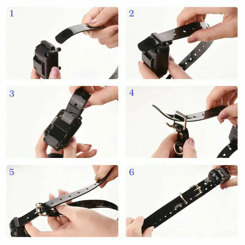 3000 FT Remote Dog Training Collar