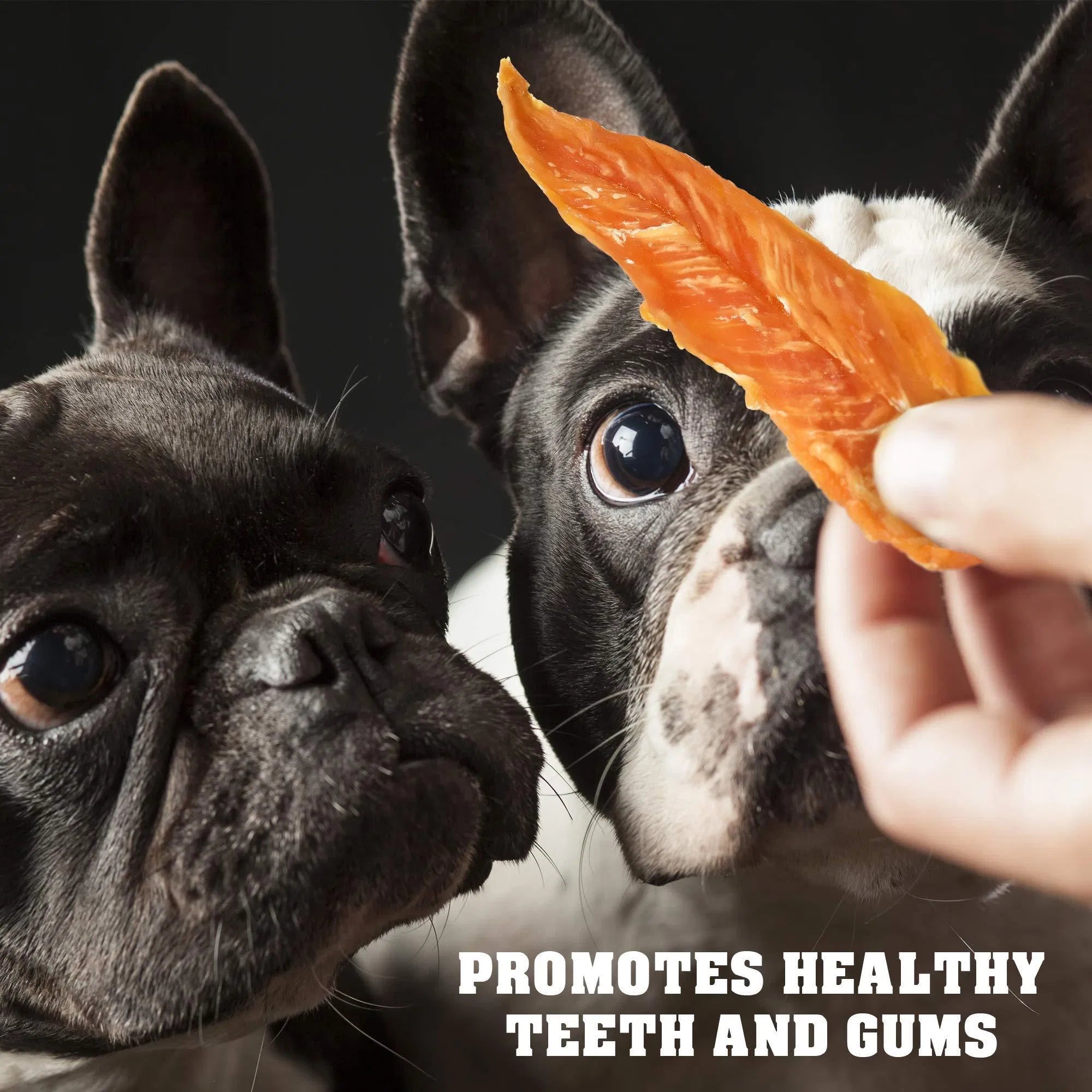 Human Grade Chicken Jerky Pet Snacks, 1.5 Lb