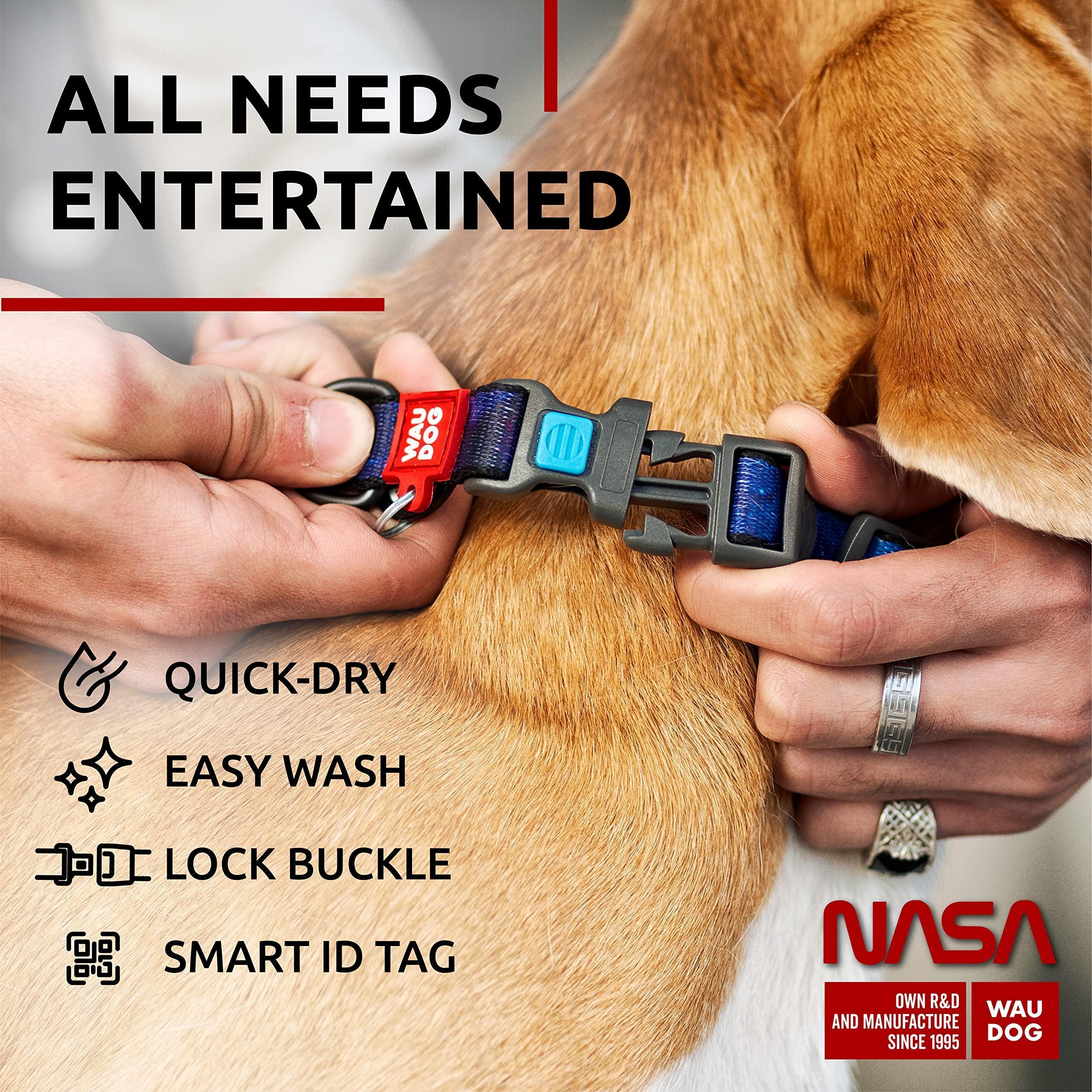 Adjustable Nylon Dog Collar for Small to Medium Dogs