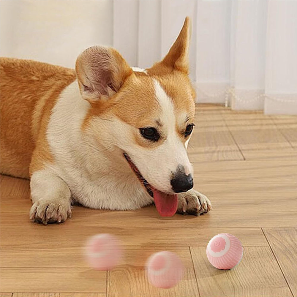 Interactive Pet Enrichment Ball