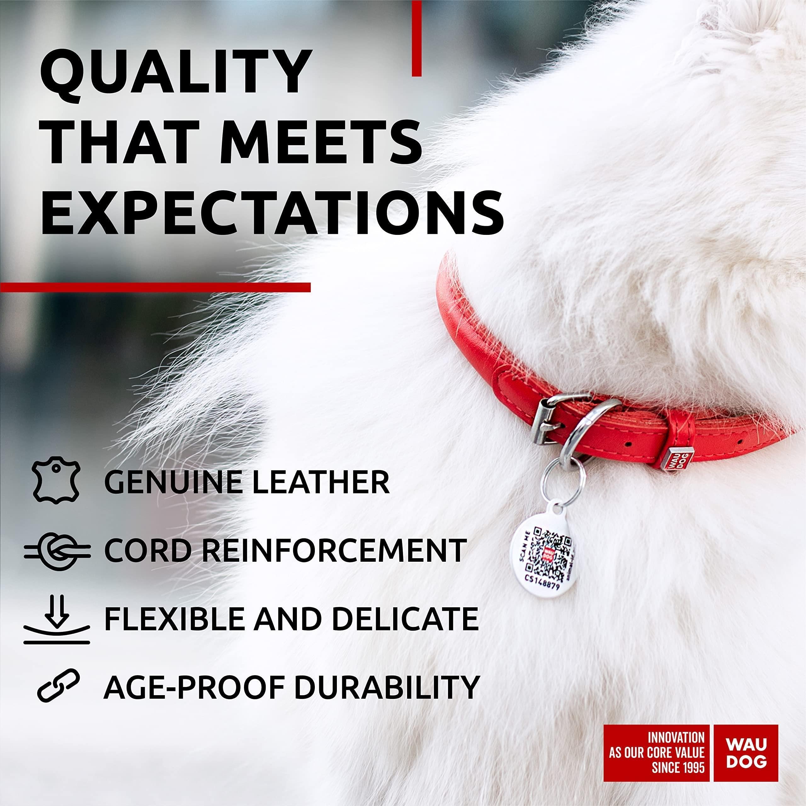 Red Rolled Leather Dog Collar: XSmall, 10-13 inch Neck