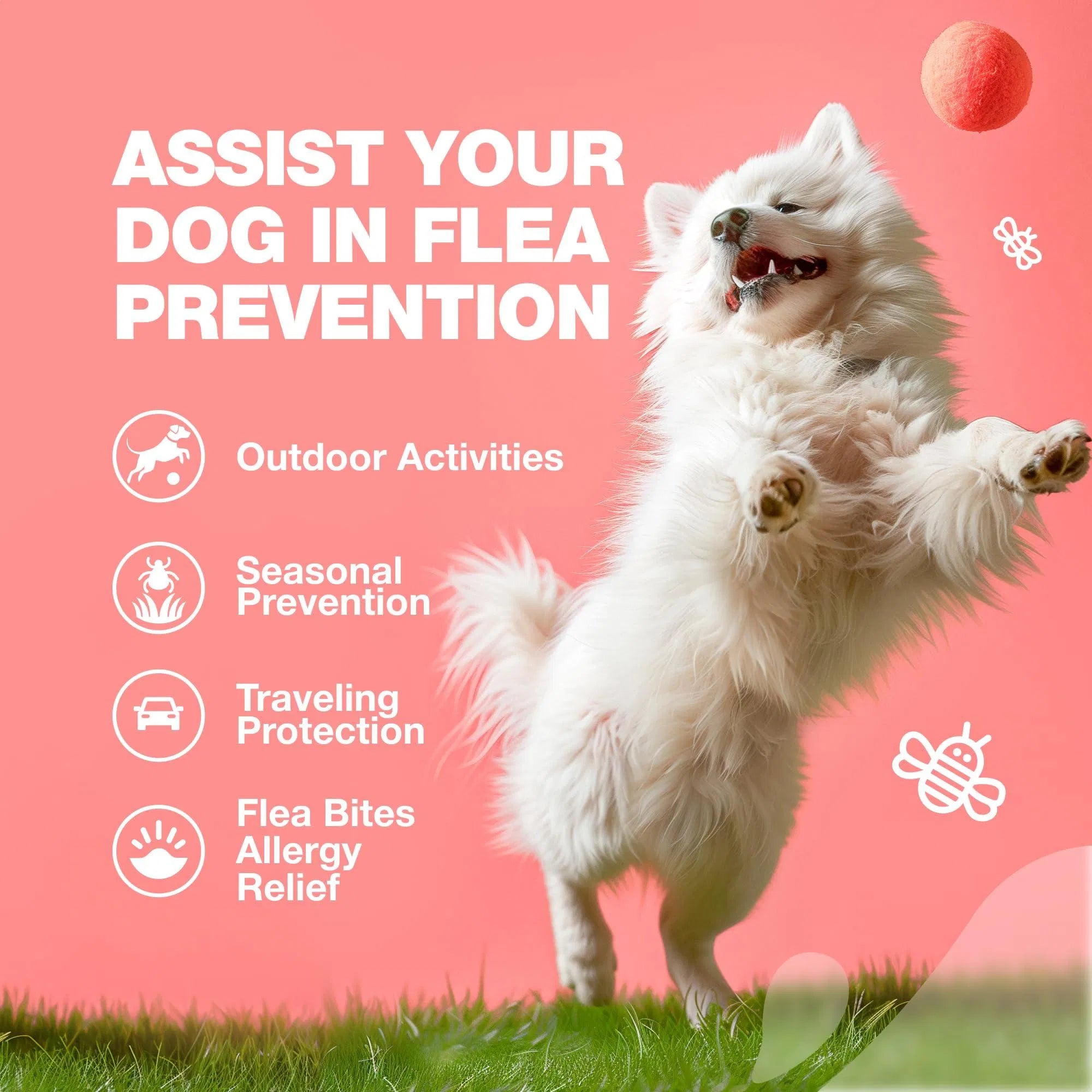 Natural Flea & Tick Prevention Soft Chews for Dogs