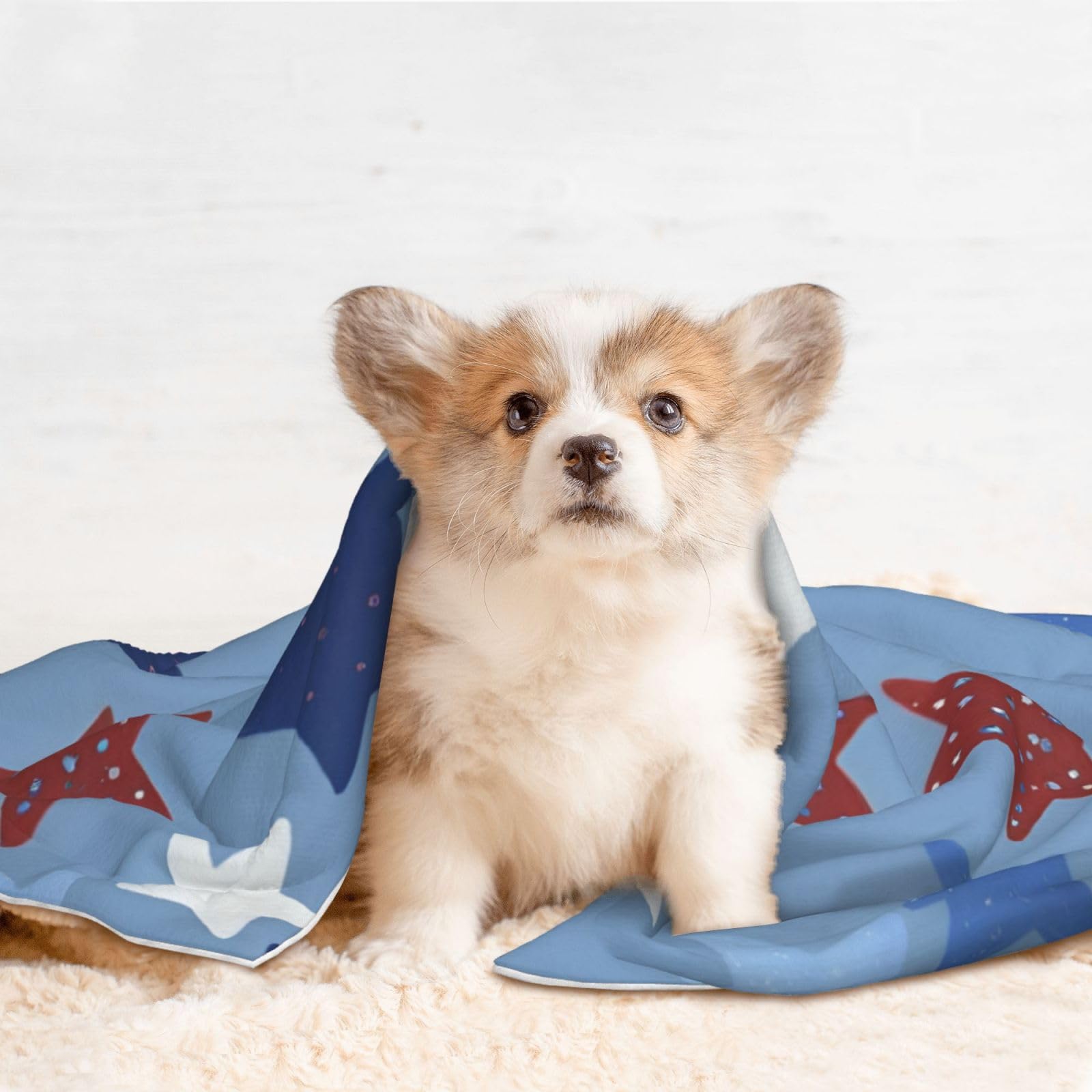 Plush Pet Blanket, 3D Paw Print Design