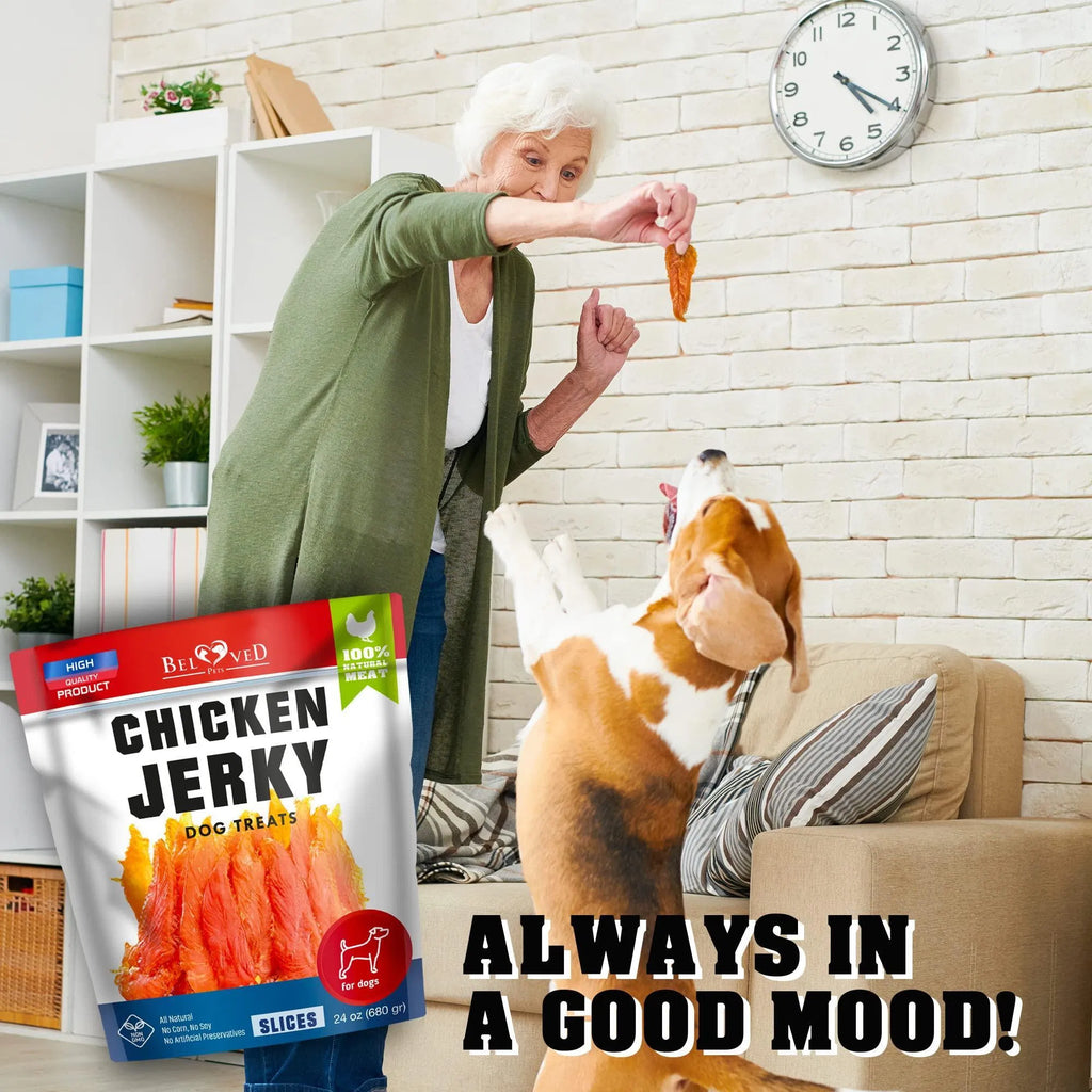 Human-Grade Chicken Jerky Dog Treats, 1.5 lb