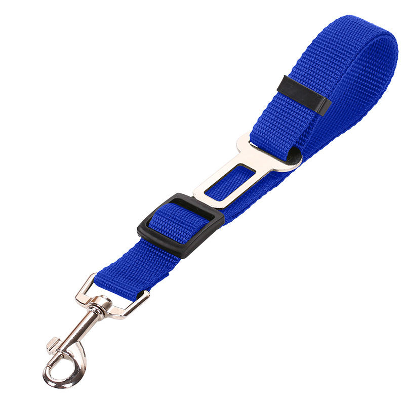 Adjustable Vehicle Safety Leash