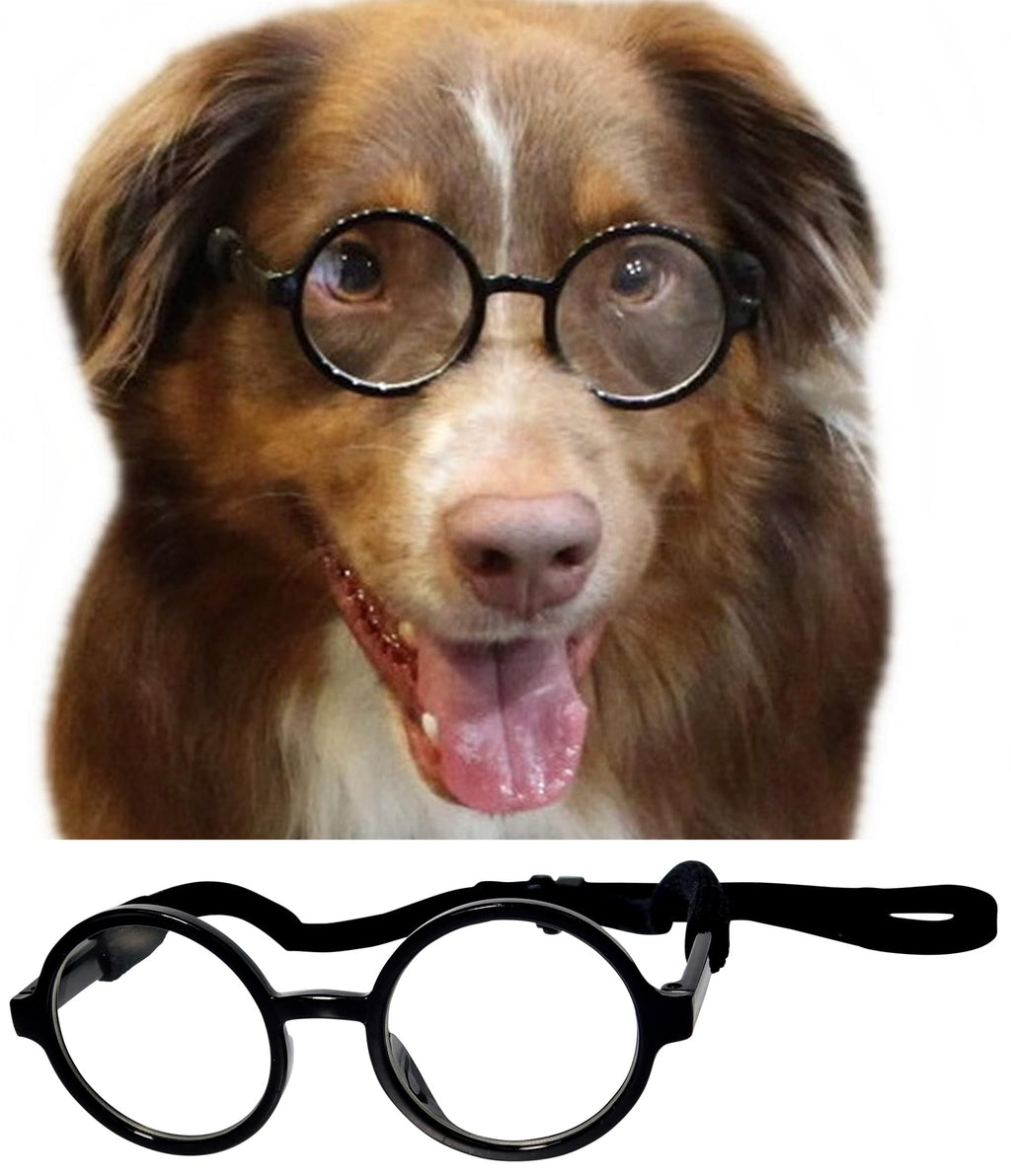 Round Clear Lens Pet Sunglasses, Black