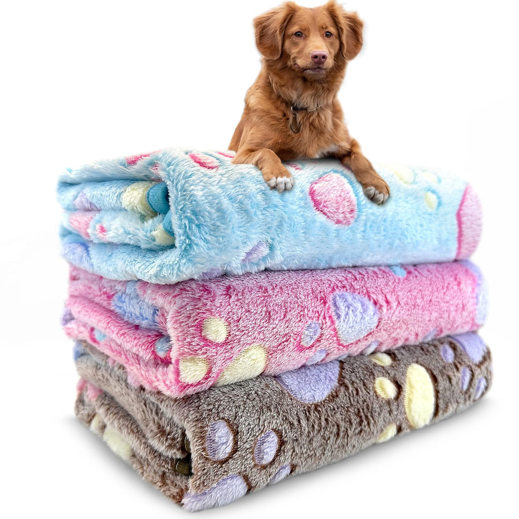 Plush Pet Blanket, 3-Pack, 41" x 31" in Gray