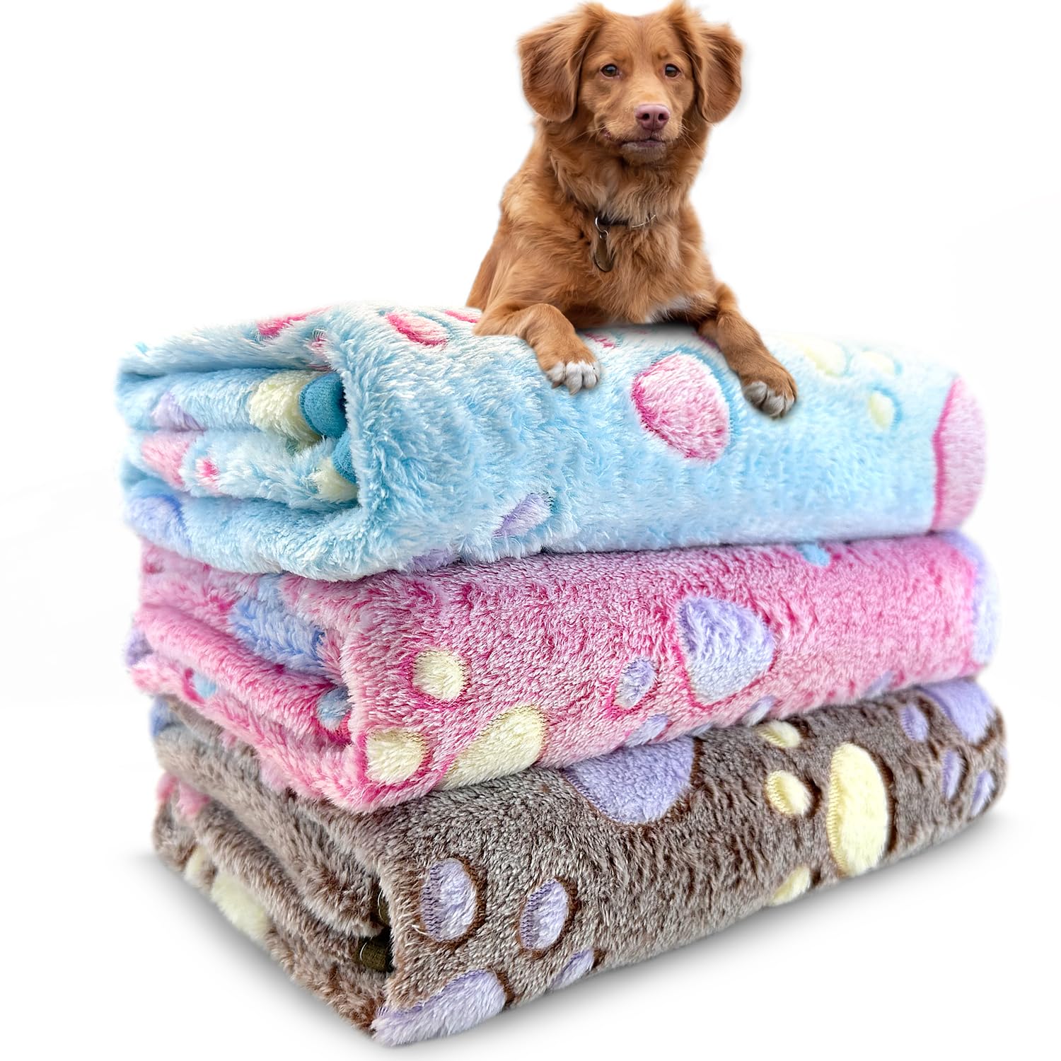 Plush Pet Blanket, 3-Pack, 41" x 31" in Gray