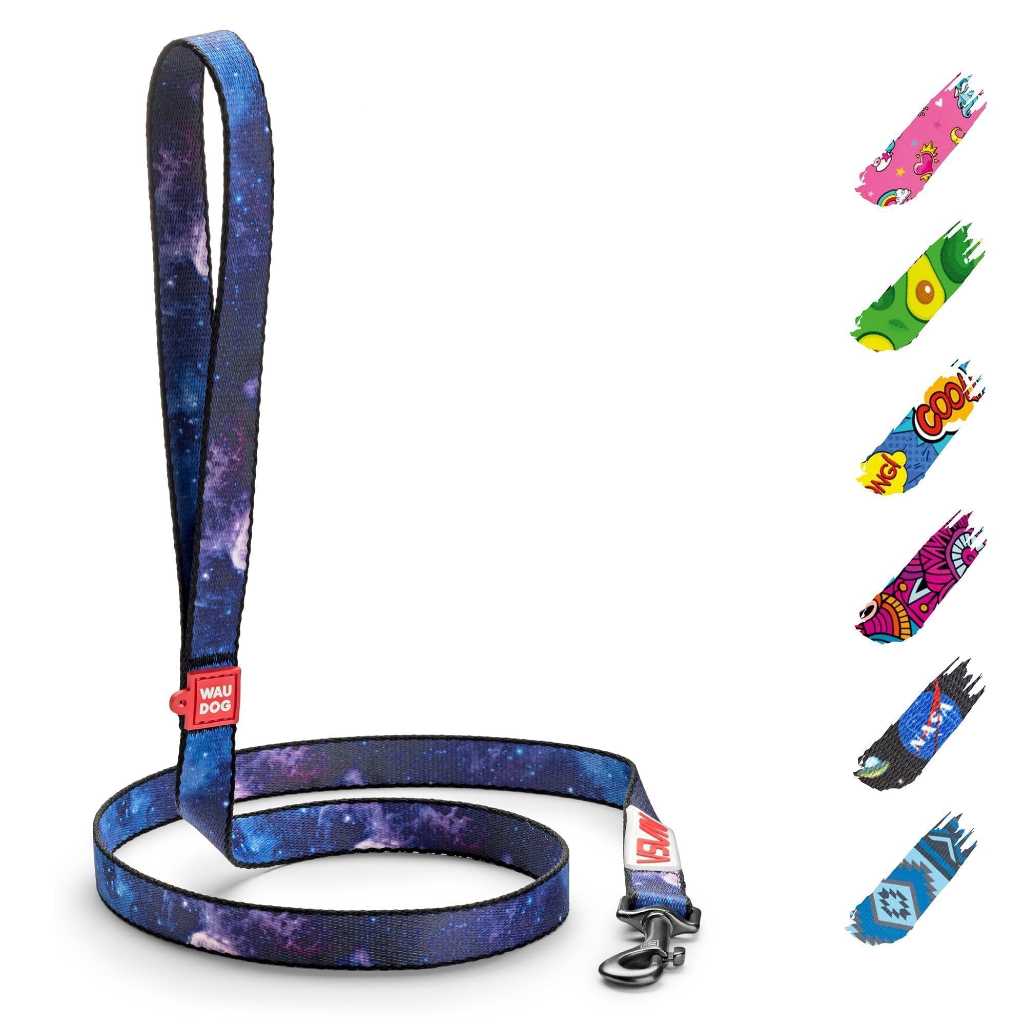 Heavy-Duty Nylon Leash, 4 Ft x 1 In, NASA Design