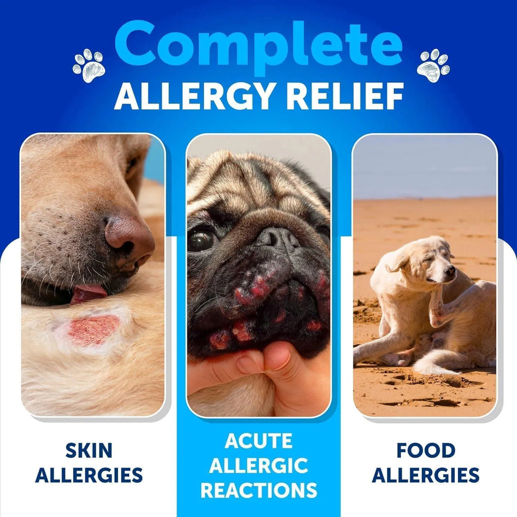 Allergy & Itch Relief Chews for Dogs, 120 Count