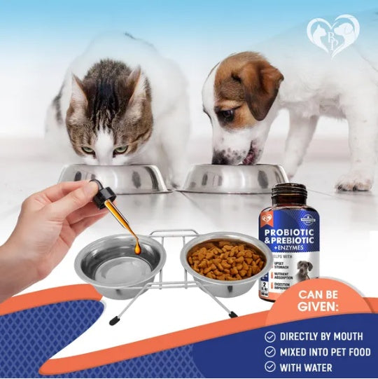 Digestive Support for Pets: Probiotics & Enzymes