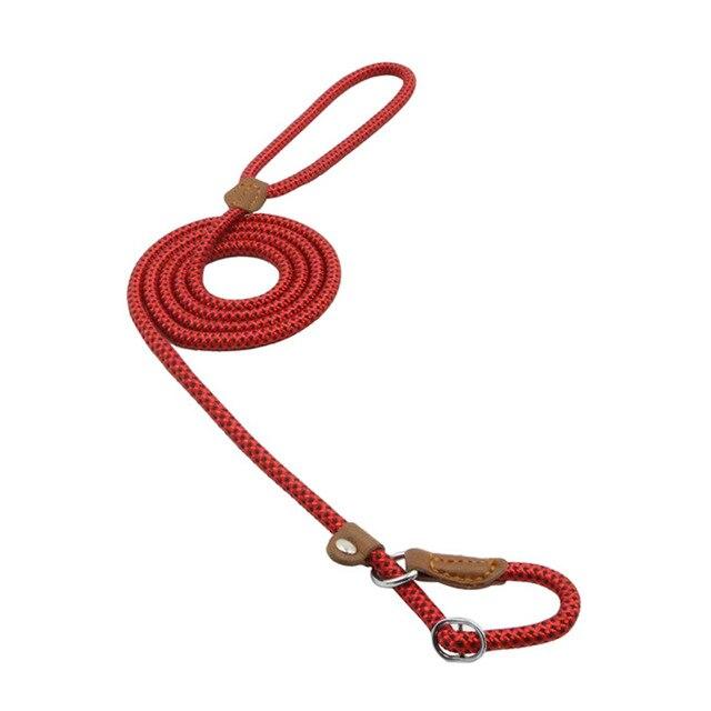 Nylon Duo Collar and Lead Set