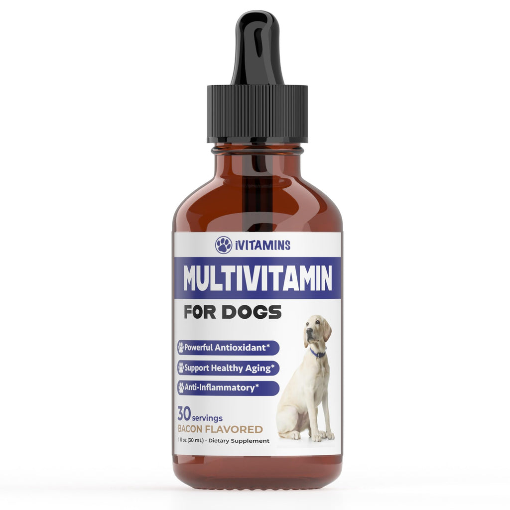 Natural Daily Multivitamin Drops for Dogs, 1 fl oz