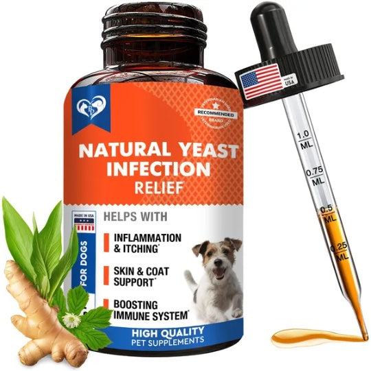 Natural Yeast Infection Drops for Canine Relief