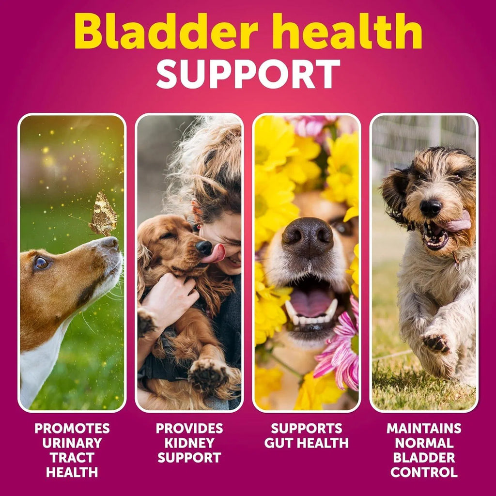 Cranberry Bladder & Kidney Support Soft Chews for Dogs, 70 C