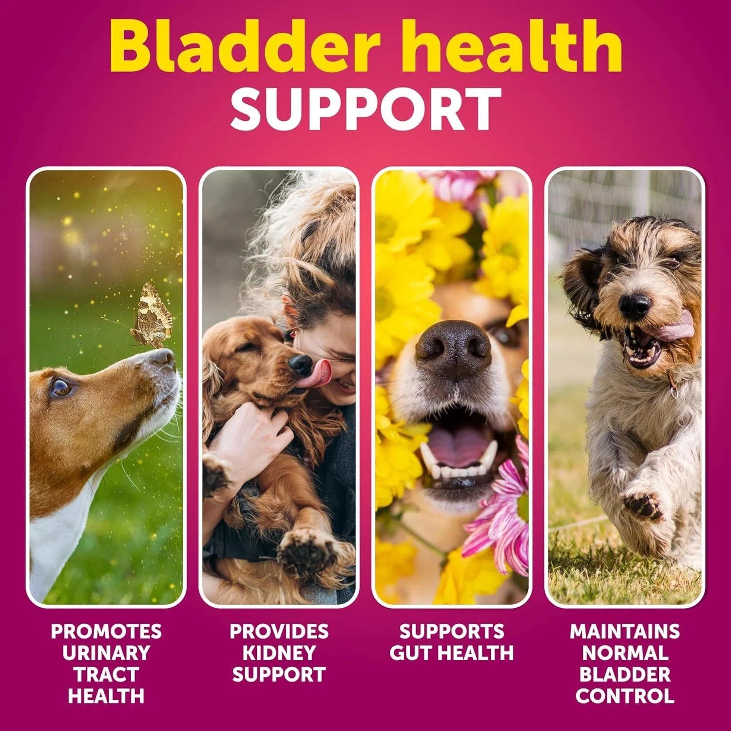 Cranberry Bladder & Kidney Support Soft Chews for Dogs, 70 C