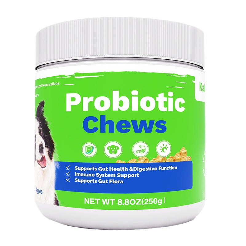 Probiotic Chews for Canine Digestive Health