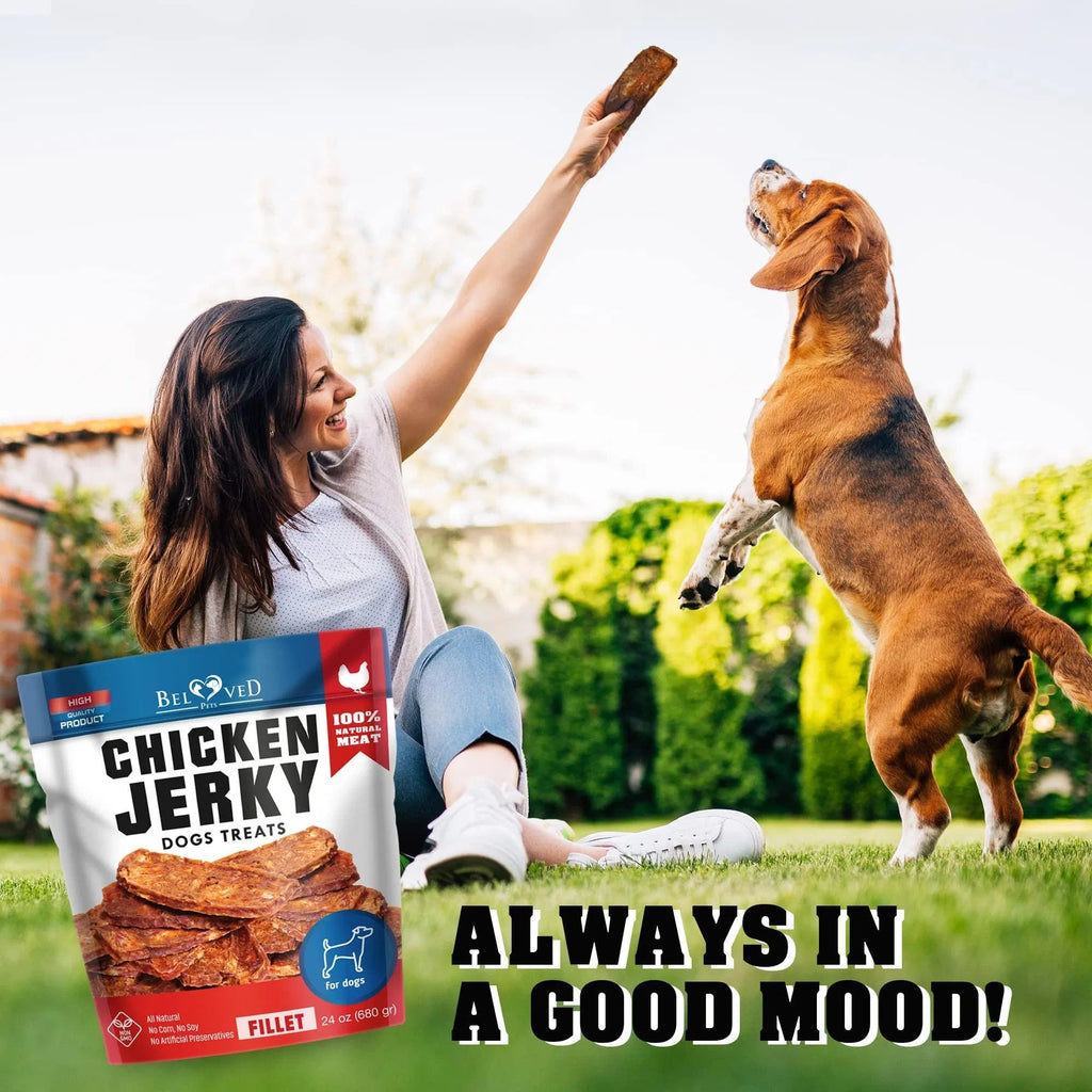 Gourmet Chicken Jerky Dog Treats, 1.5 Lb