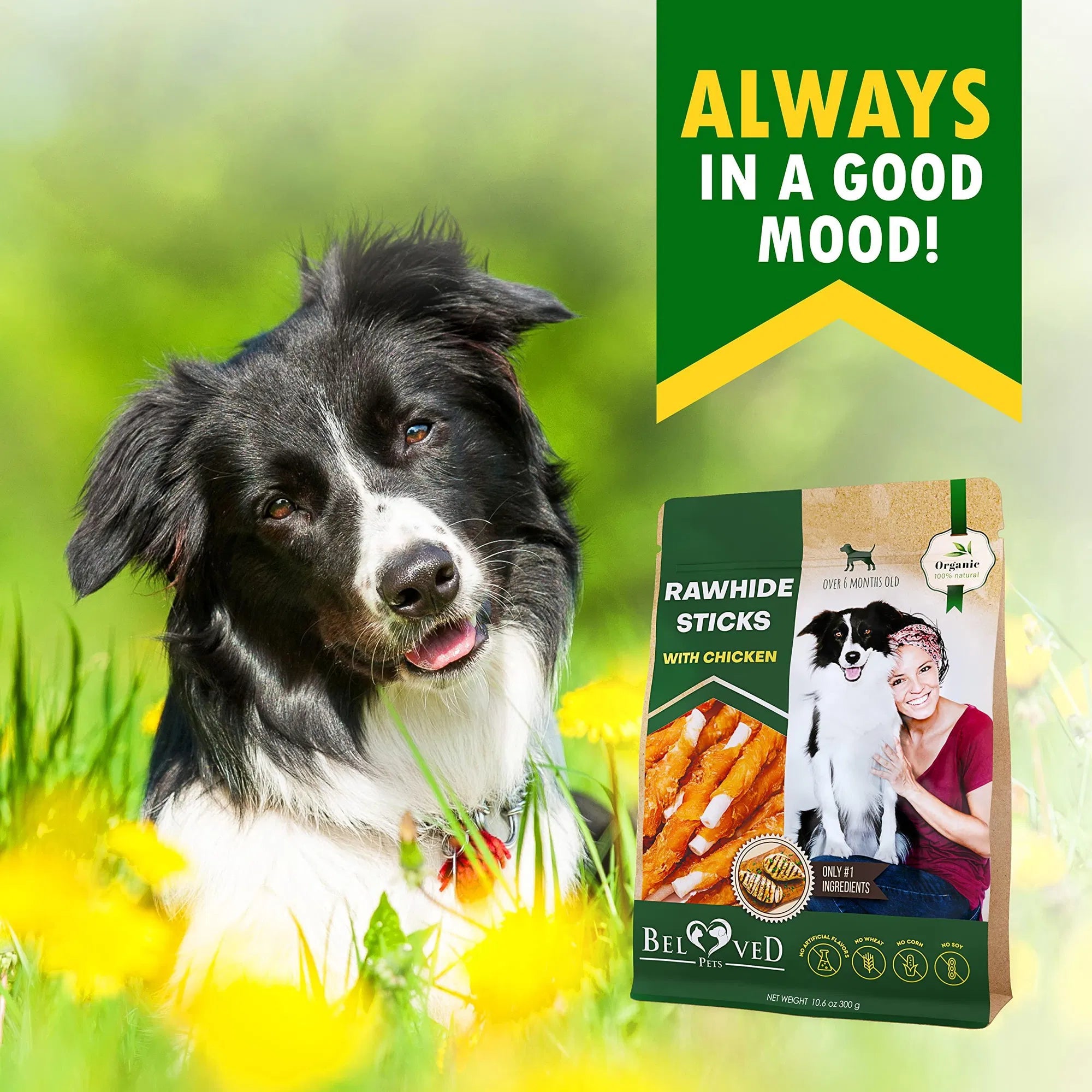 Gourmet Chicken Wrapped Dog Chews - Grain-Free Training Trea