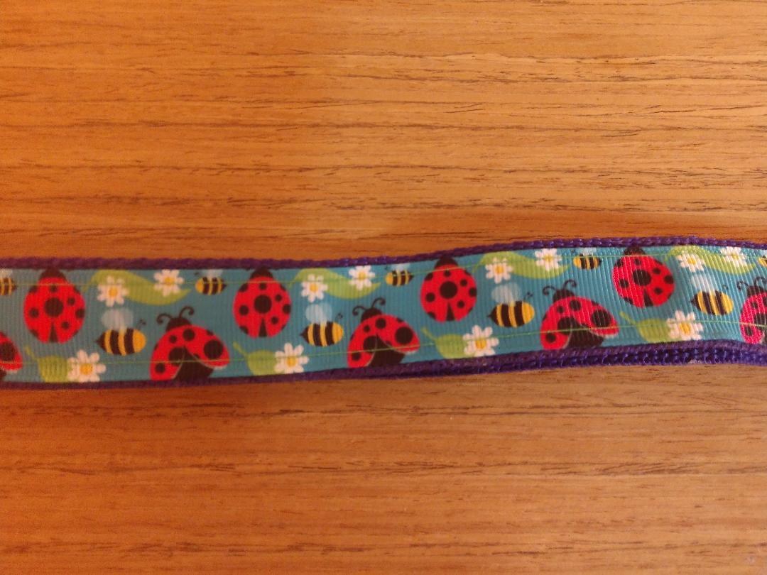 Martingale Collar, Leash, and Hands-Free System - Ladybugs